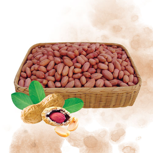 24년산 생알땅콩 5kg (1kg x 5개)